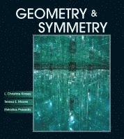 L. Christine Kinsey, Teresa E. Moore, Efstratios Prassidis - Geometry and Symmetry, Inbunden