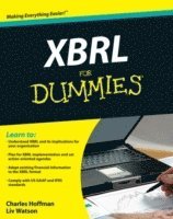 bokomslag XBRL for Dummies