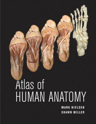Atlas of Human Anatomy 1