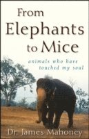 bokomslag From Elephants To Mice