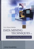 bokomslag Data Mining Techniques in Grid Computing Environments