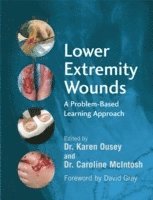 bokomslag Lower Extremity Wounds