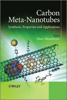 Marc Monthioux - Carbon Meta-Nanotubes, Inbunden