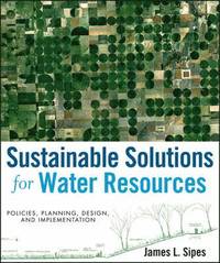 bokomslag Sustainable Solutions for Water Resources