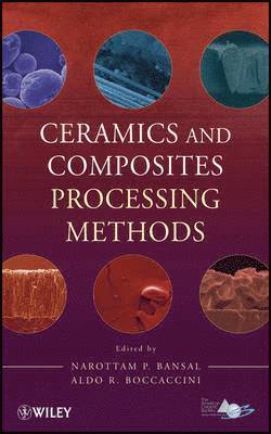 Narottam P. Bansal, Aldo R. Boccaccini - Ceramics and Composites Processing Methods, Inbunden