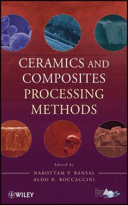 Ceramics and Composites Processing Methods 1