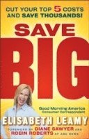 bokomslag Save Big