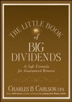 bokomslag Little Book of Big Dividends