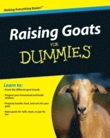 bokomslag Raising Goats For Dummies