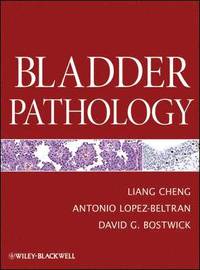 bokomslag Bladder Pathology