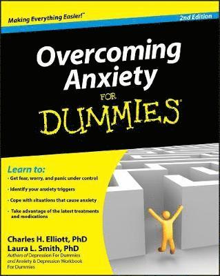 bokomslag Overcoming Anxiety For Dummies