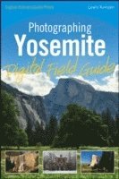 bokomslag Photographing Yosemite Digital Field Guide