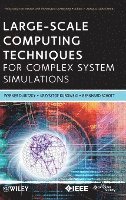 Werner Dubitzky, Krzysztof Kurowski, Bernard Schott - Large-Scale Computing Techniques for Complex System Simulations, Inbunden
