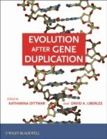 bokomslag Evolution after Gene Duplication
