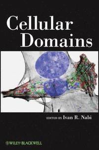 bokomslag Cellular Domains