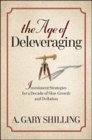 bokomslag The Age of Deleveraging