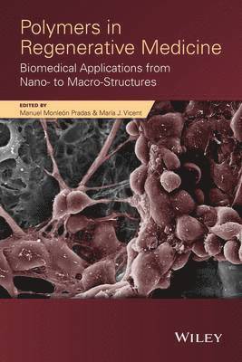 bokomslag Polymers in Regenerative Medicine