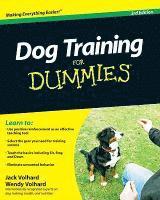 bokomslag Dog Training For Dummies