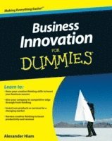 bokomslag Business Innovation For Dummies