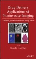 bokomslag Drug Delivery Applications of Noninvasive Imaging