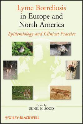 bokomslag Lyme Borreliosis in Europe and North America