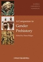 Diane Bolger - Companion to Gender Prehistory, Inbunden