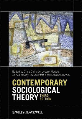 bokomslag Contemporary Sociological Theory