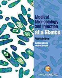 bokomslag Medical Microbiology and Infection at a Glance