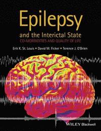bokomslag Epilepsy and the Interictal State