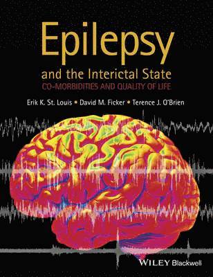 bokomslag Epilepsy and the Interictal State