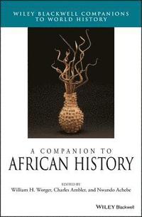 bokomslag A Companion to African History