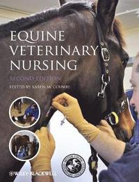 bokomslag Equine Veterinary Nursing