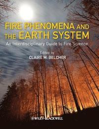 bokomslag Fire Phenomena and the Earth System