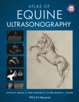 bokomslag Atlas of Equine Ultrasonography