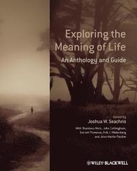 bokomslag Exploring the Meaning of Life: An Anthology and Guide