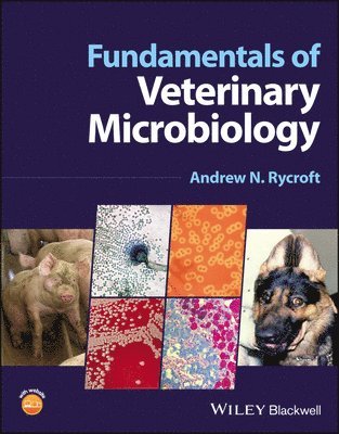 bokomslag Fundamentals of Veterinary Microbiology