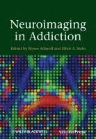 bokomslag Neuroimaging in Addiction