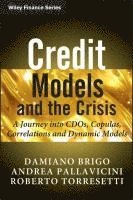 bokomslag Credit Models and the Crisis