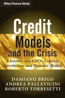 Damiano Brigo, Andrea Pallavicini, Roberto Torresetti, Damiano (DerivativeFitch) Brigo, Andrea (Banca Leonardo) Pallavicini, Roberto (BBVA) Torresetti - Credit Models and the Crisis, Häftad