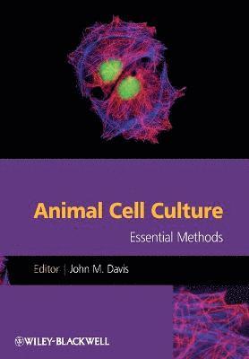 John M. Davis - Animal Cell Culture, Häftad