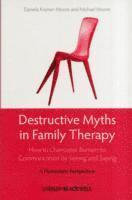 bokomslag Destructive Myths in Family Therapy