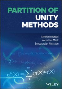 bokomslag Partition of Unity Methods
