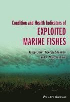 bokomslag Condition and Health Indicators of Exploited Marine Fishes