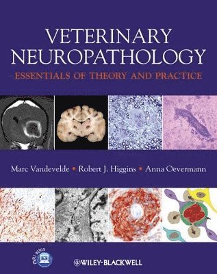 Veterinary Neuropathology 1