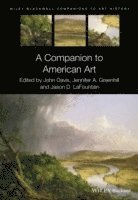 bokomslag A Companion to American Art