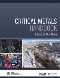 bokomslag Critical Metals Handbook