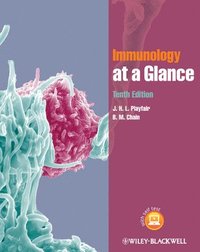 bokomslag Immunology at a Glance