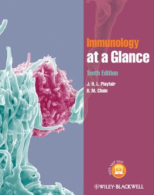 J. H. L. Playfair, B. M. Chain - Immunology at a Glance, Häftad
