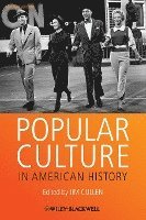 bokomslag Popular Culture in American History