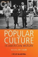 Jim Cullen - Popular Culture in American History, Häftad